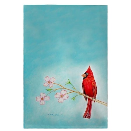 Betsy Drake Betsy Drake GT470 Dicks Cardinal Guest Towel - 20 x 20 in. GT470